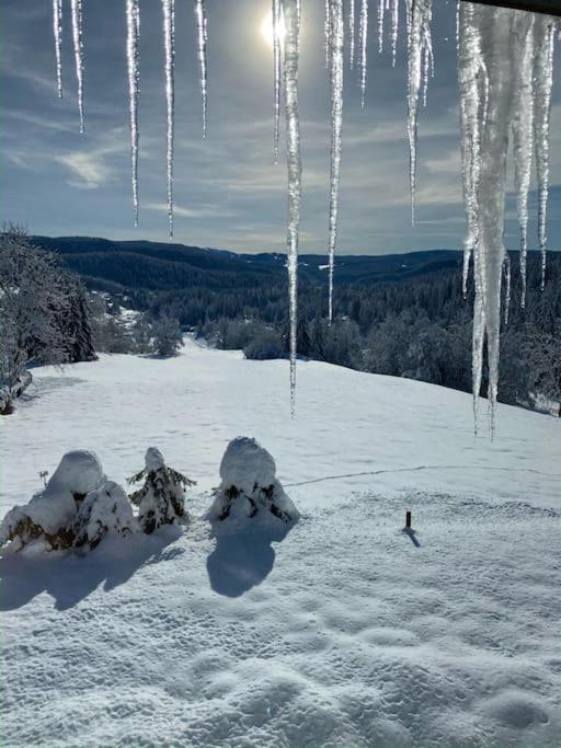 Appartement Lumineux Avec Vue Sur Les Montagnes Morbier Exterior foto
